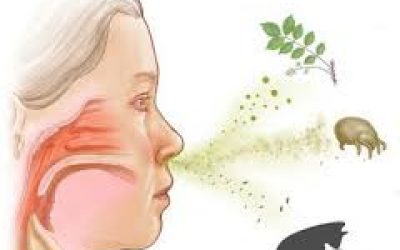 Як лікувати алергічний нежить?