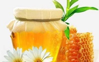 Мед від нежитю, лікування за допомогою меду в домашніх умовах — рецепти народної медицини