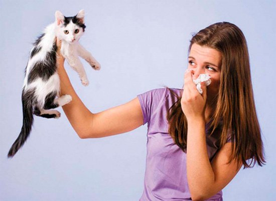 Народні засоби від алергічного нежитю