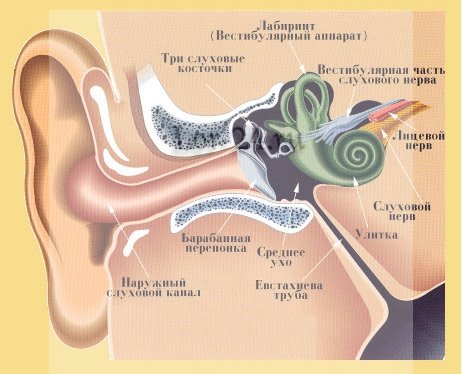 Баротравма вуха: причини, симптоми, лікування