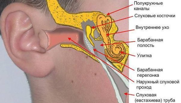 При ангіні болить вухо заклало: що робити, як і чим лікувати