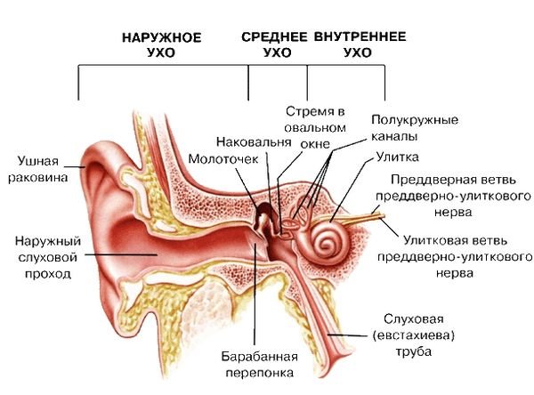 Шум у вухах: причини і лікування в домашніх умовах