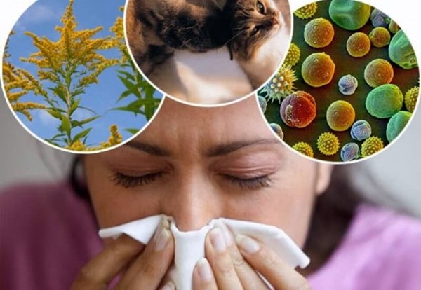 Температура при алергічному риніті: причини, може бути