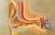 Як видалити пробку з вуха в домашніх умовах: перевірені методи