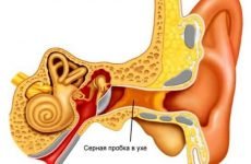 Способи і методи видалення сірчаної пробки з вуха