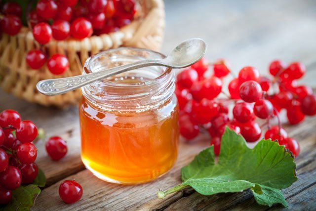 Чим корисний мед при простудному захворюванні: цілющі властивості та рецепти