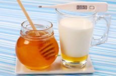 Користь молока з медом від застуди: цілющі властивості та рецепти